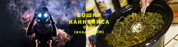 сатива Медвежьегорск