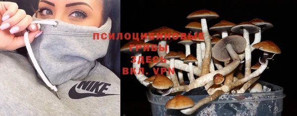 прущий лед Медногорск