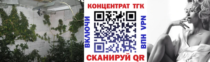 ТГК Wax  Лениногорск 