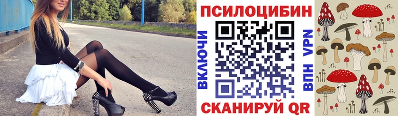Псилоцибиновые грибы Magic Shrooms  Лениногорск 