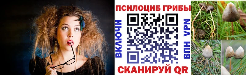 Галлюциногенные грибы Cubensis Лениногорск