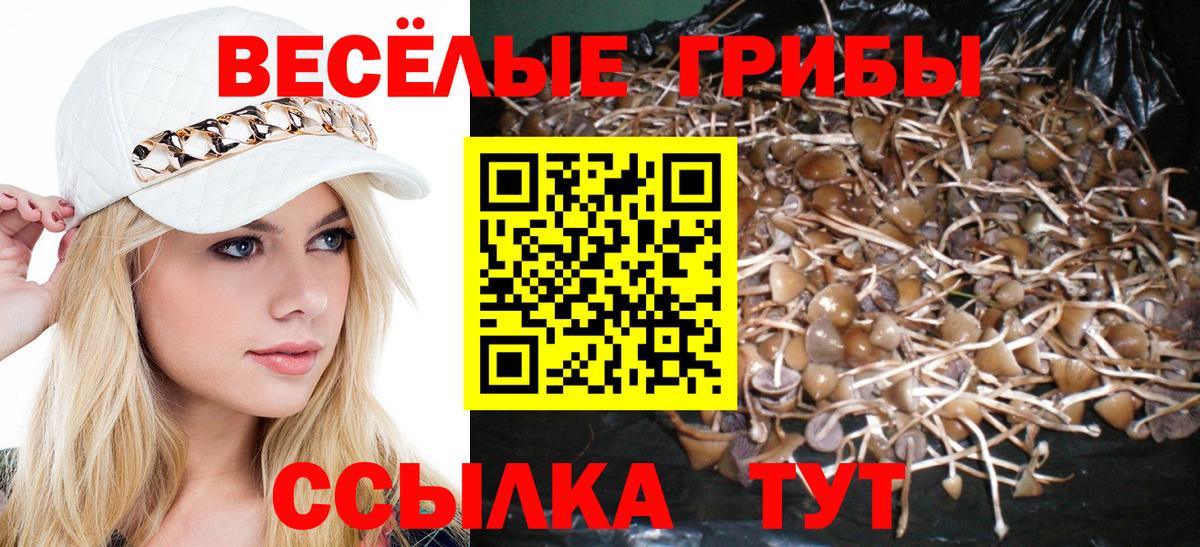 Галлюциногенные грибы Psilocybine cubensis Лениногорск